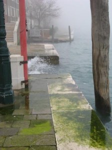 On the Giudecca: The green is dangerous to people above, the waves are dangerous to the fondamenta below. Waves can damage just about anything they can reach.