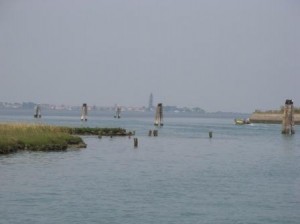 This is a short story in one picture. The barena originally abutted the pilings which marked the channel to the right. The waves began to cut it back. An attempt was made to protect it by installing a barrier of smaller pilings. Now we can see not only how far the wetland has been cut back from the channel, but its retreat from its erstwhile protective barrier, itself a casualty of the battle.