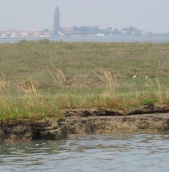 A cross-section of a barena near Burano.  If you were an endangered bird, or even just a really tired one, this patch of mud would be more beautiful to you than twenty Titians.