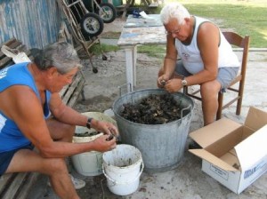 The set-up is simple.  Take mussel or clump from the big tub; remove the material covering it; throw mussel into medium-size bucket, and the nameless material into the small bucket.  